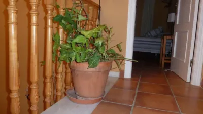 Casa pareada en Calahonda - Carchuna photo 6