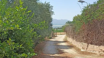 Rustic Finca in Librilla photo 35