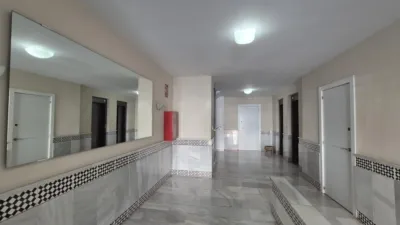 Apartment in Ejido Centre photo 26
