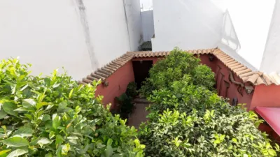 House on Calle de San Fernando photo 40