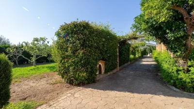 Rustic Finca in Establiments - Son Sardina photo 53