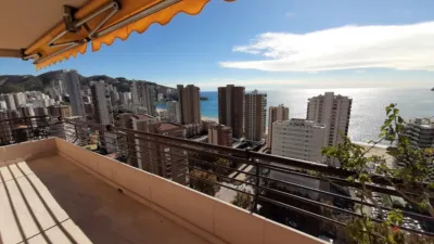 Apartment on Avenida del Mediterraneo photo 25