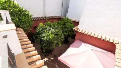 House on Calle de San Fernando photo 39