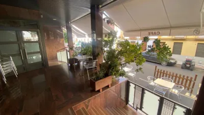 Miniatura 9