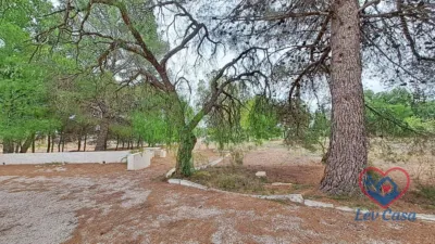 Rustic Finca in Montisol photo 5