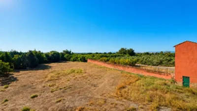 Rustic finca on Madrid-Cadiz Road Km 311 photo 39