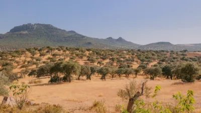 Chalet in Extremadura photo 39