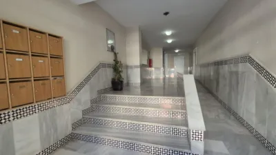 Apartment in Ejido Centre photo 3