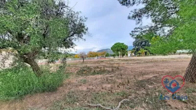 Rustic Finca in Montisol photo 27