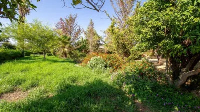 Rustic Finca in Establiments - Son Sardina photo 54