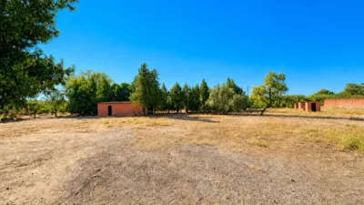 Rustic finca on Madrid-Cadiz Road Km 311 photo 37