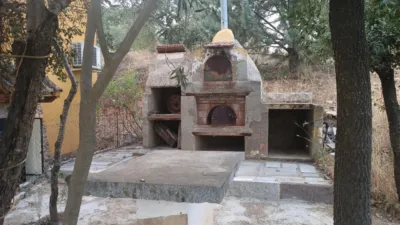 Miniatura 12