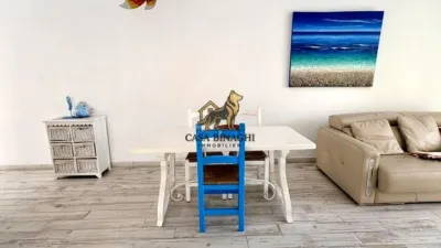 Apartment on Avenida Ernesto Sarti photo 10