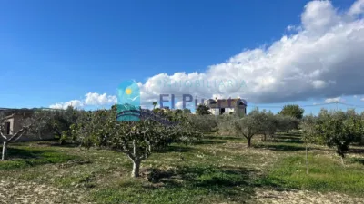 Rustic Finca in Leiva photo 55