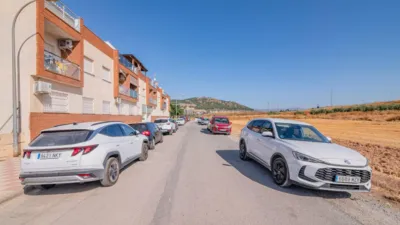 Apartment in Vega de Granada, Northwest Zone photo 45