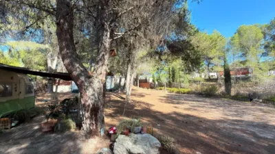 House in Urbanización Terol photo 41