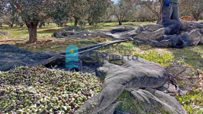 Rustic Finca in Leiva photo 46
