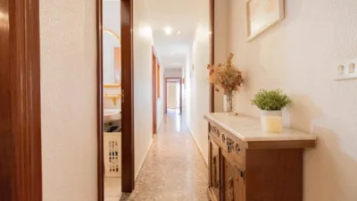 Apartment on Calle Major photo 21