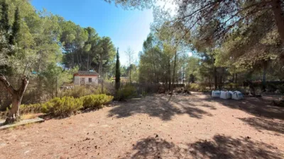 House in Urbanización Terol photo 47