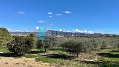 Rustic Finca in Leiva photo 54