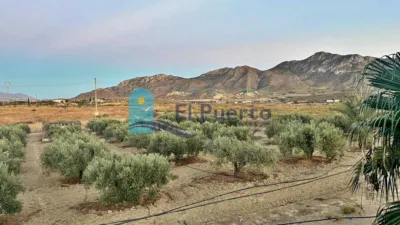 Rustic Finca in Leiva photo 47