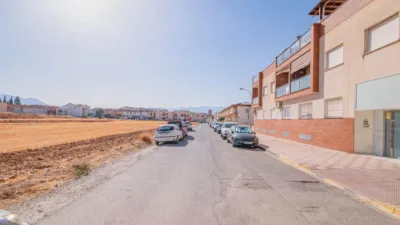 Apartment in Vega de Granada, Northwest Zone photo 43