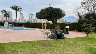 Apartment in Rincón de Loix Llano photo 16