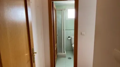 Apartment in Fiesta del Arbol photo 9