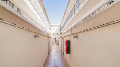 Apartment in Vega de Granada, Northwest Zone photo 33