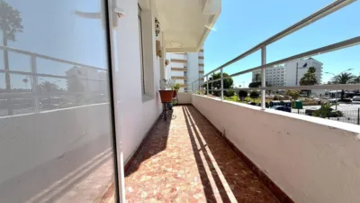 Apartment in Valdelagrana photo 10