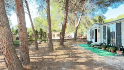 House in Urbanización Terol photo 39