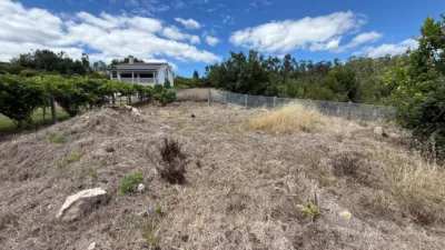House on Sandrenzo Street, No. 29 photo 12