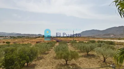 Rustic Finca in Leiva photo 7