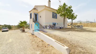 Rustic Finca in Leiva photo 4