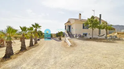 Rustic Finca in Leiva photo 3