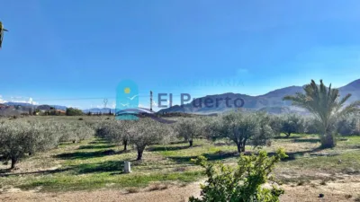 Rustic Finca in Leiva photo 53
