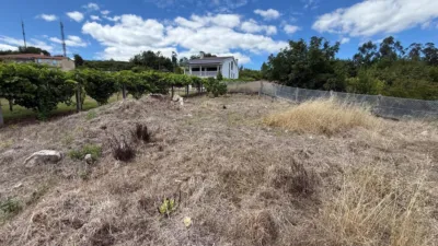 House on Sandrenzo Street, No. 29 photo 13