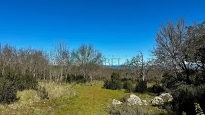 Rustic Finca in Pino Alto - Navarredonda photo 3