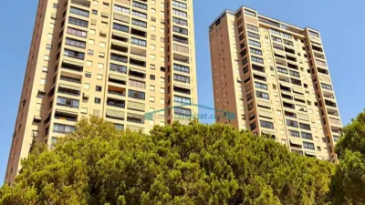 Apartment in Playa de Poniente photo 8