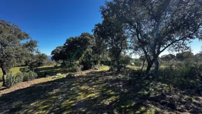Rustic Finca in Pino Alto - Navarredonda photo 32