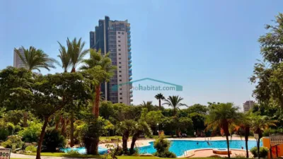 Apartment in Playa de Poniente photo 9