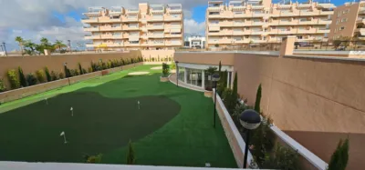 Apartment in El Raso photo 17
