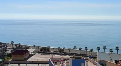 Penthouse in Playa La Sirena Loca photo 11