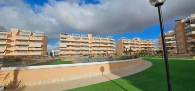 Apartment in El Raso photo 15
