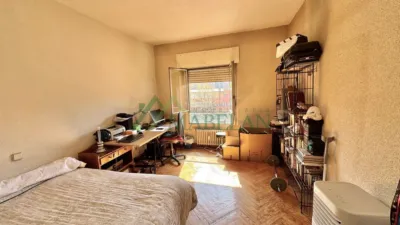 Apartment in El Viso photo 20