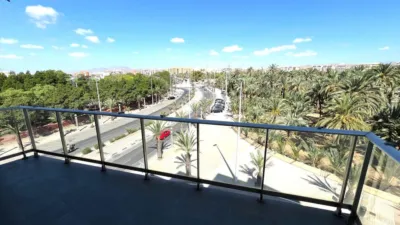 Pis – Elx - Elche - Vista 5