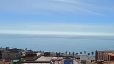 Penthouse in Playa La Sirena Loca photo 2