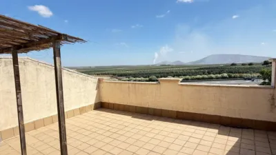 House in Andalucia photo 29
