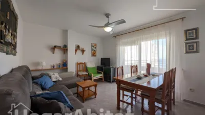 Pis – Elx - Elche - Vista 3