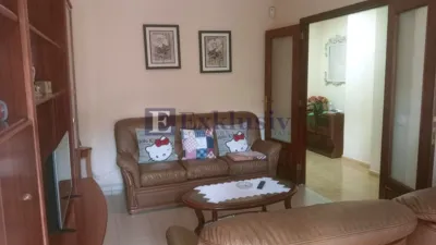 Apartment on Calle de Leopoldo de la Rosa Olivera photo 5